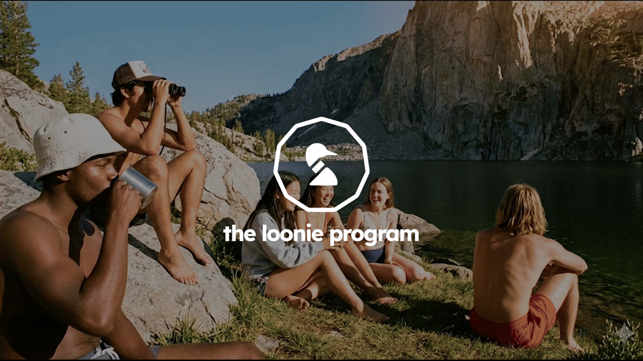 LoonieProg_01-ezgif.com-video-to-gif-converter (1).gif__PID:7d253ecc-e2ea-4423-a4d8-eba64acfbecf